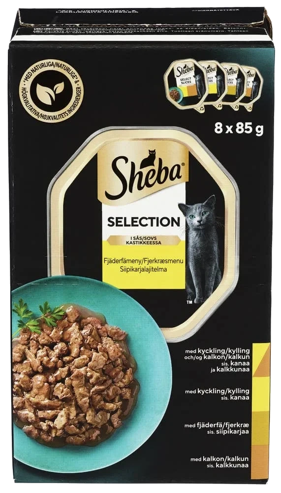 Selection våt kattemat med and, kylling, fjærfe og kalkun