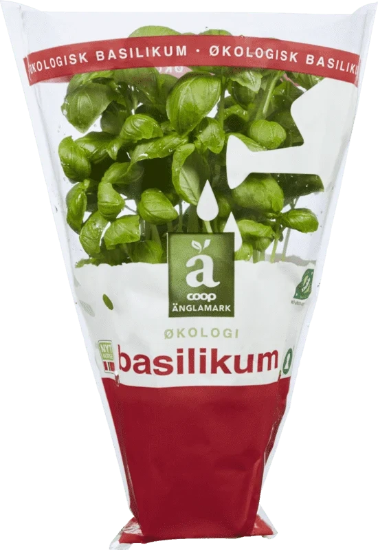 Änglamark Krydderurt 8cm Basilikum