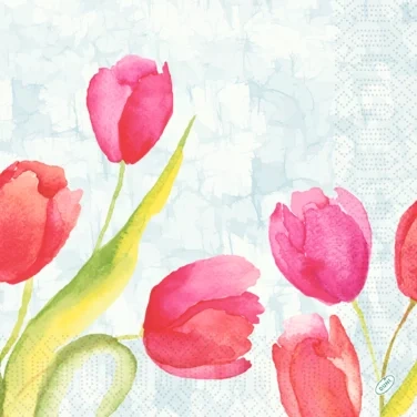Serviett 3l40cm Painted Tulip