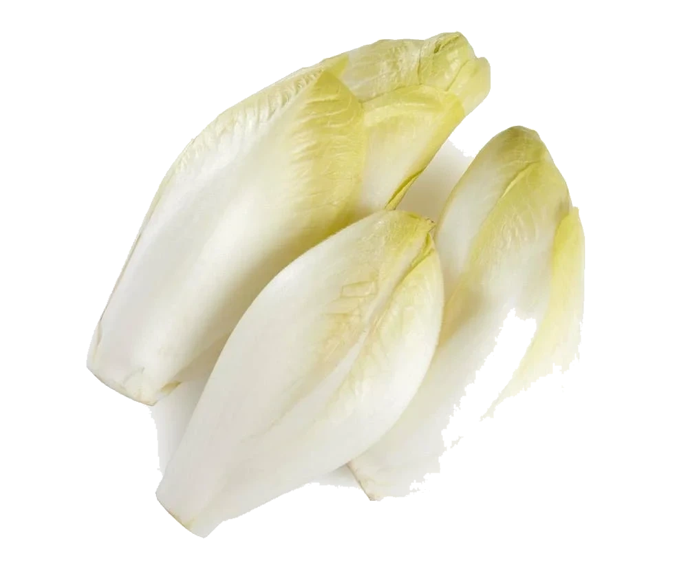 Sikori/ Endive salat