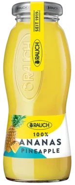 Ananas Juice 0,2l Flaske Rauch