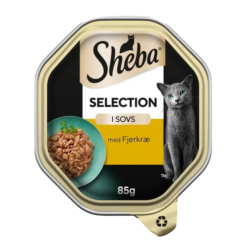 Selection Våtfôr til katter i skål med lam og kylling i saus