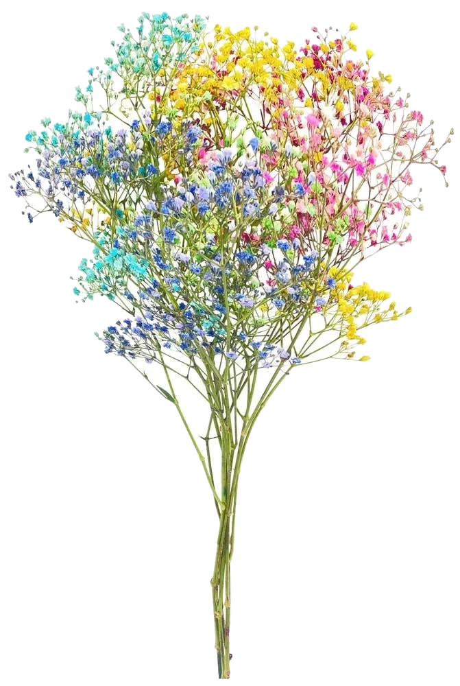 Candy Floss