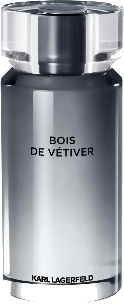 Karl Lagerfeld Bois de Vétiver Eau de Toilette 100 ml