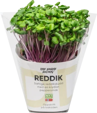 Reddikskudd