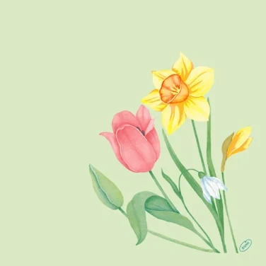 Serviett Biodunisoft 40cm Spring Melody