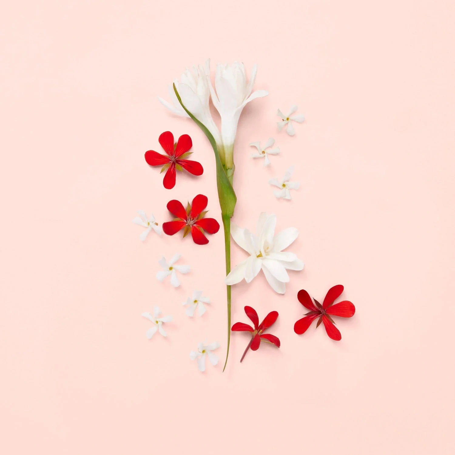 Gucci Bloom