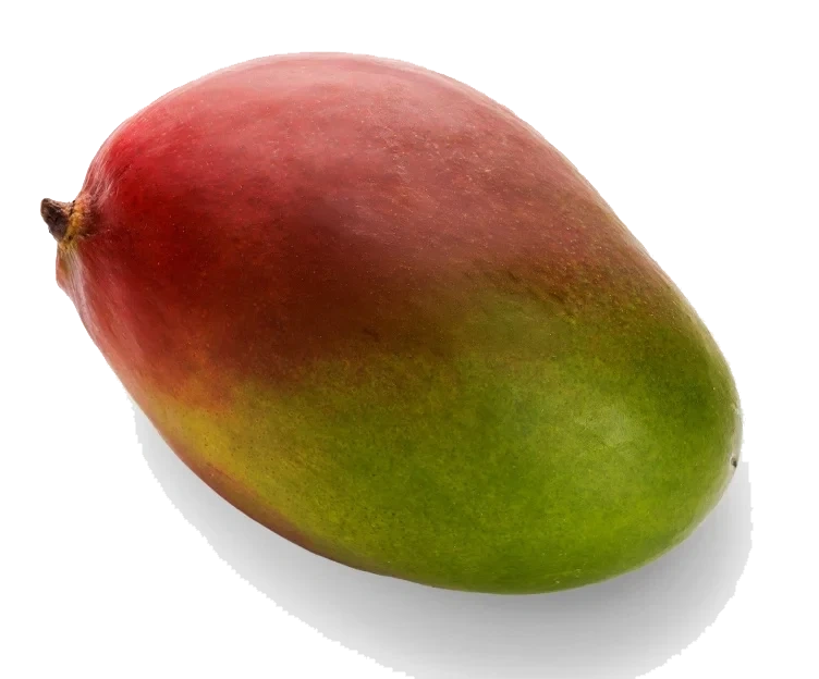 Mango stykk First Price