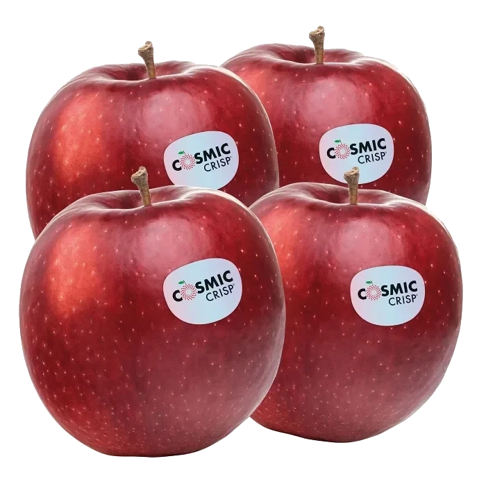 Äpple Cosmic crisp 4-p Klass 1