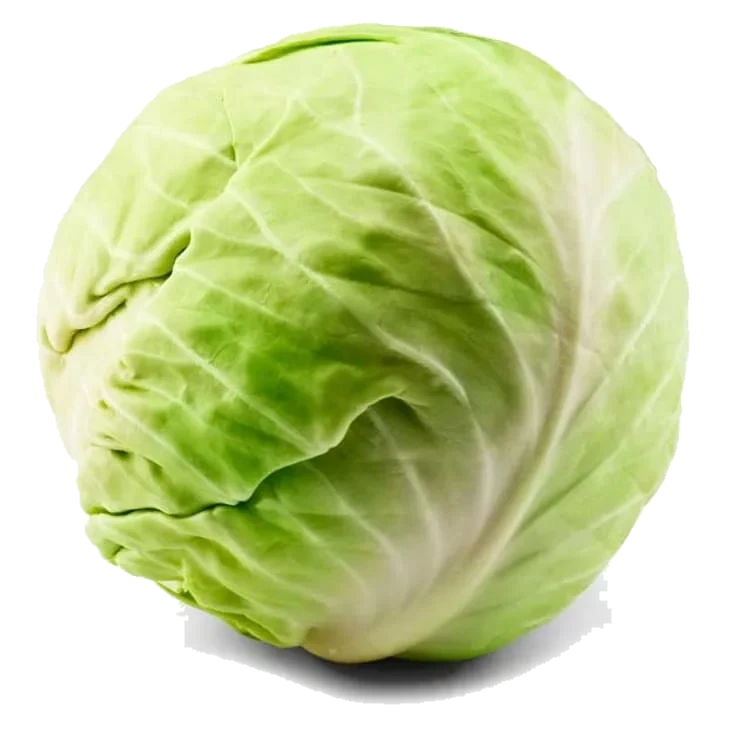 Hodekål pr stk