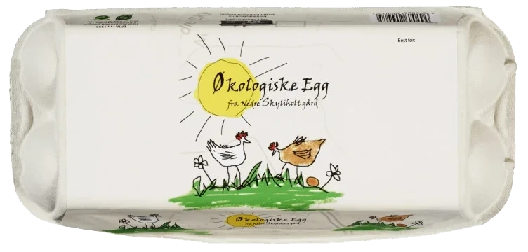 Egg Økologisk 10stk 600g Skyliholt Gård