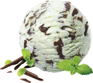 Mövenpick Mint Chocolate 2,4l