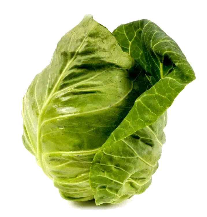 Sommerkål Nykål