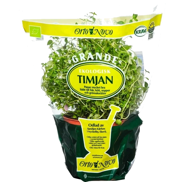 Timjan Grande Eko Klass 1