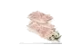 Bacon skivat rulle