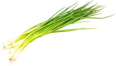 Spring Onion 80g So Fresh