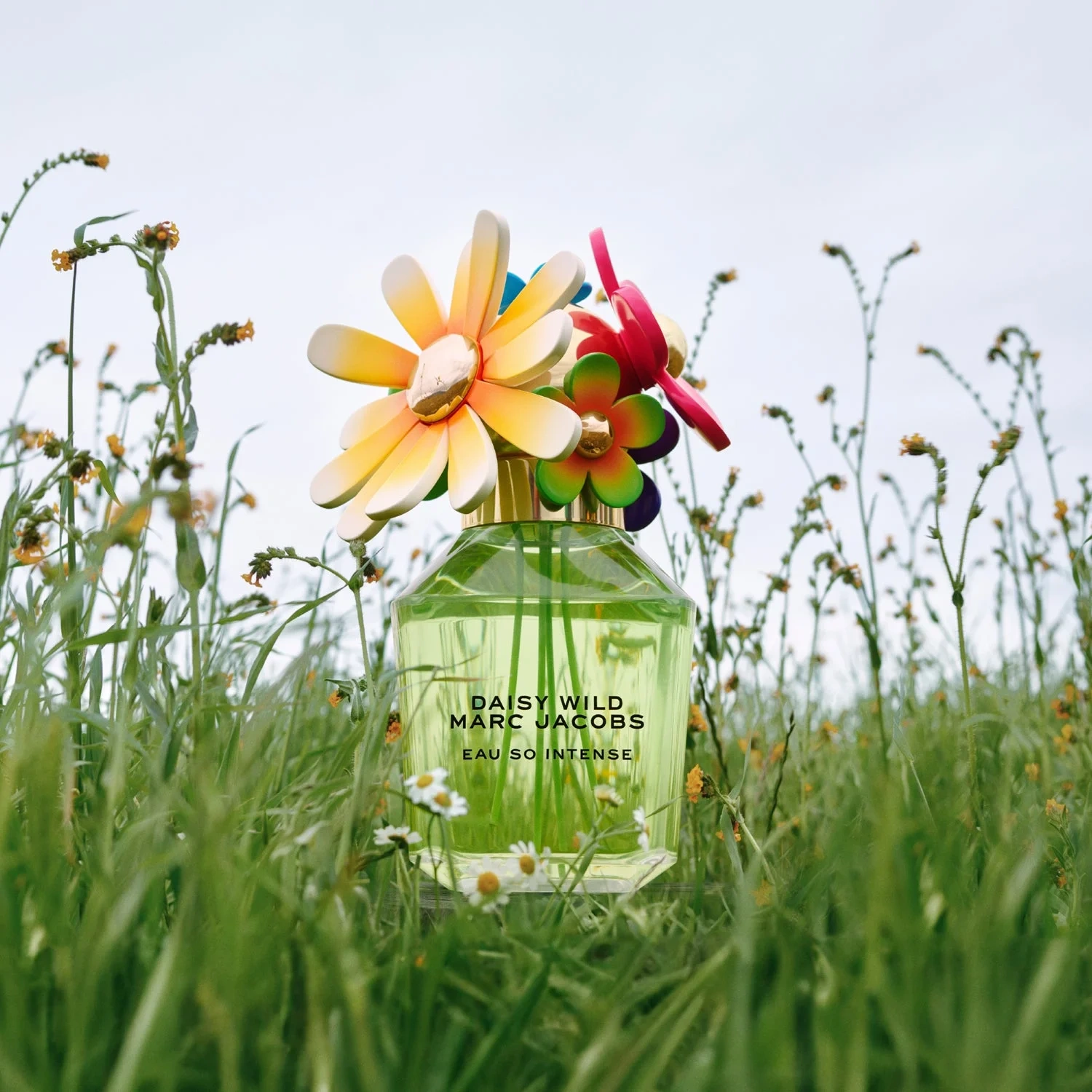 Marc Jacobs Daisy Wild Intense