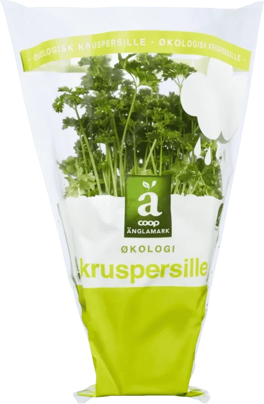 Änglamark Krydderurt 8cm Kruspersille
