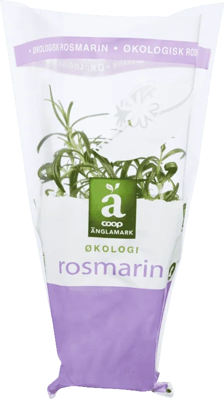 Änglamark Krydderurt 8cm Rosmarin