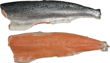 Atlantic Salmon Frozen Filet Trim C 0,6-1,0kg Intl L10