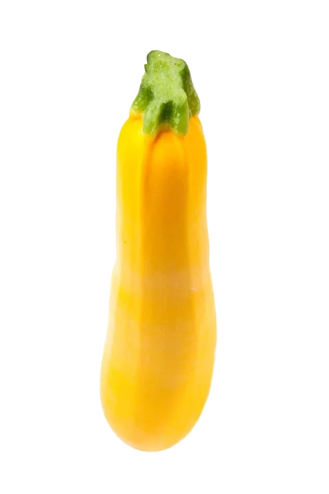 Gul Squash