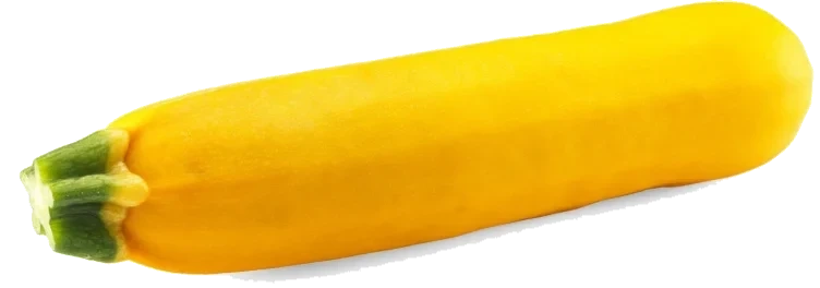Squash Gul stykk