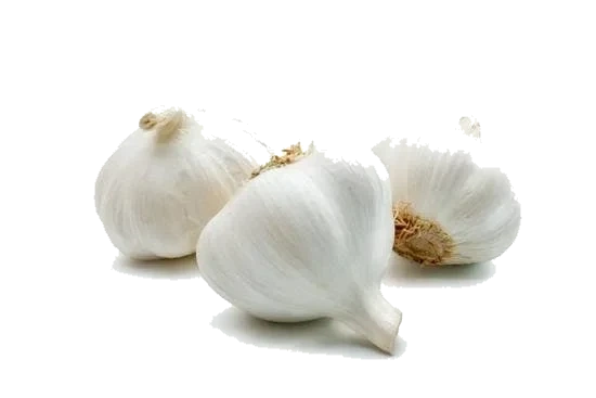 Hvitløk
