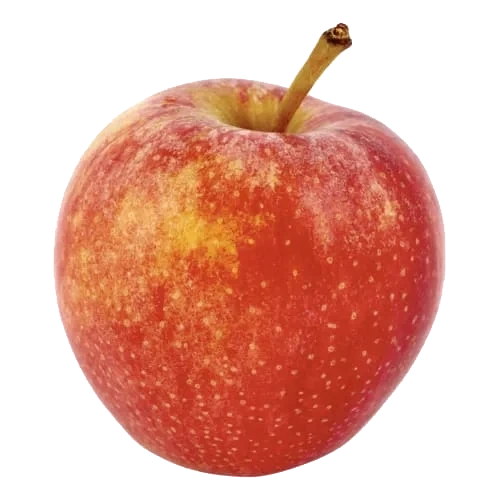 Äpple Royal Gala Eko Klass 1