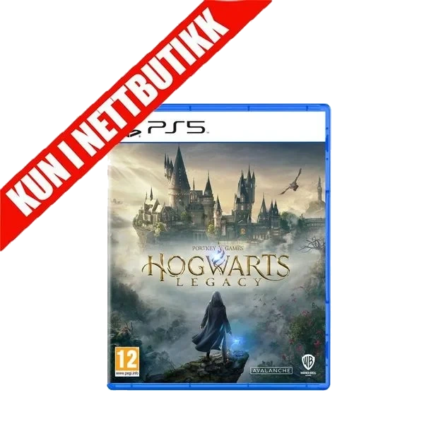 Hogwarts Legacy (PS5)