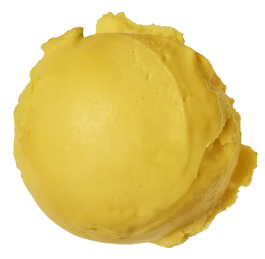 Diplom-is Mango Sorbet Kuleis 5l