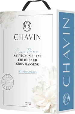 Pierre Chavin Cotes De Gascog 11.5% Bib