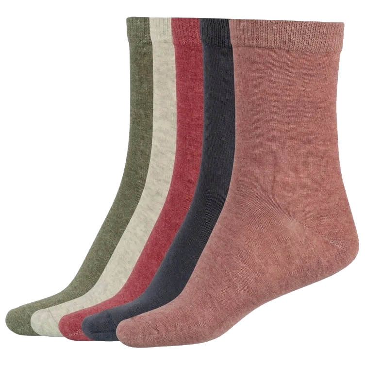 Basic Socks X5 Wmn Earth Mix 37-40