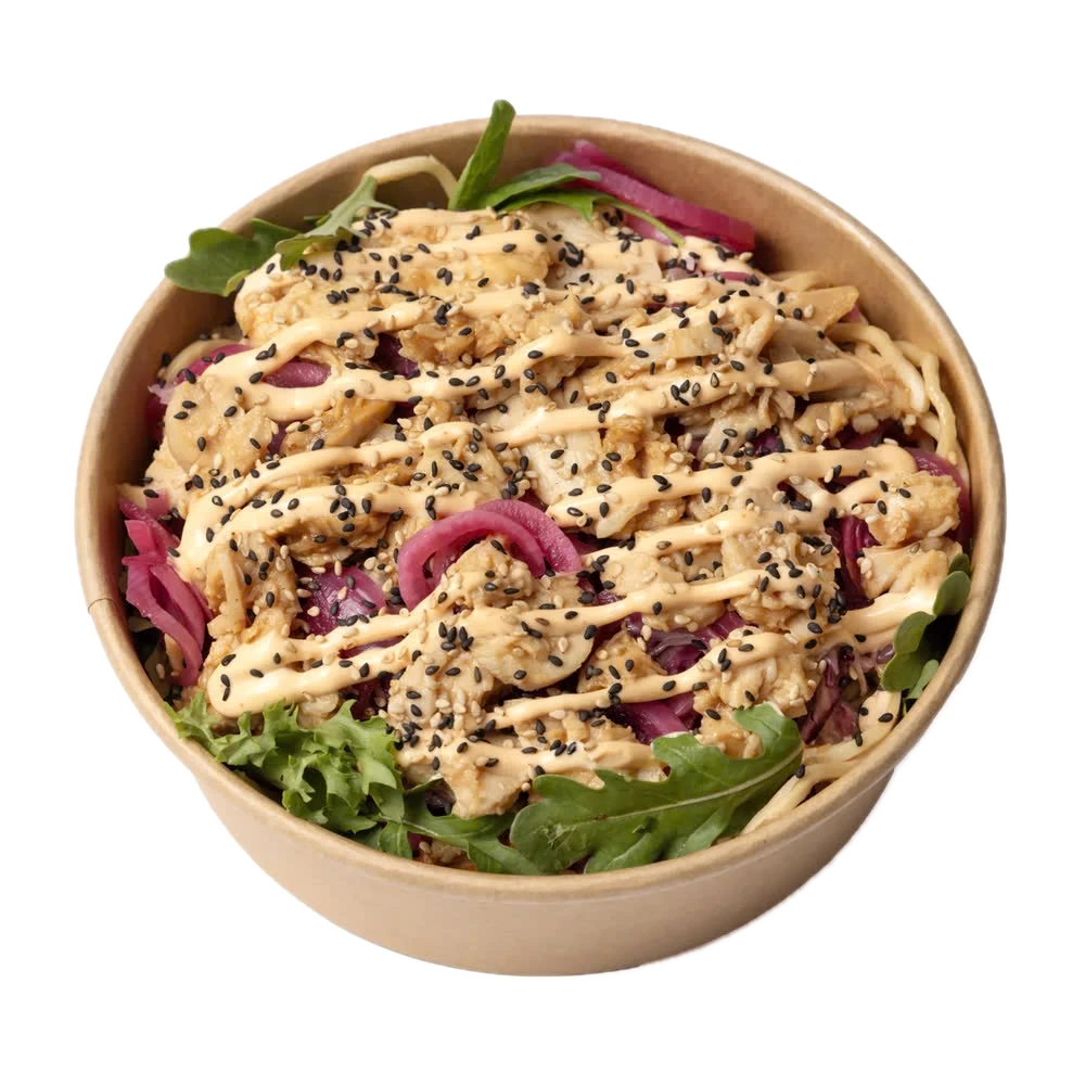 Asiatisk Kyllingsalat 355g