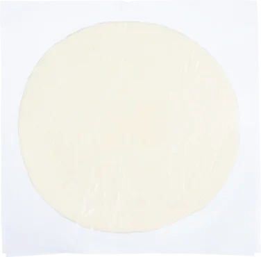 Roti Paratha Plain 20pcs 20pcs Spring Home