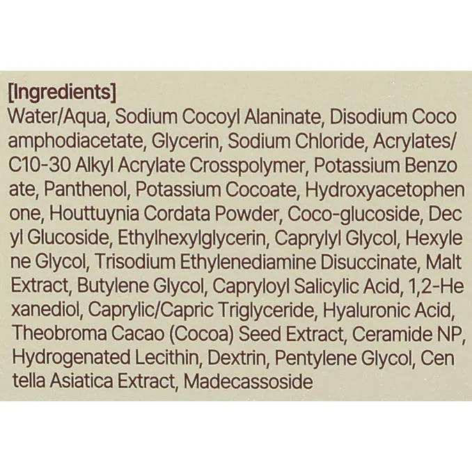 Gentle Recipe Foam Cleanser
